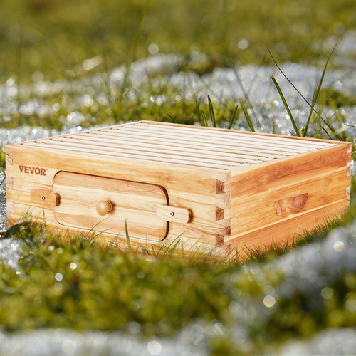 Bee hive medium - box, starter