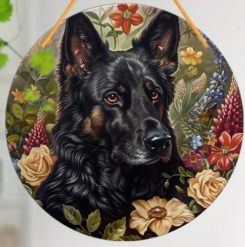 Alsatian large german shepherd - german,