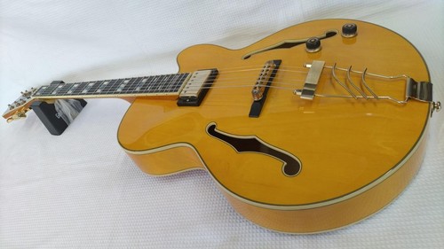 Ibanez 02 full - pm-aa-12-02,