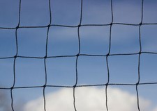 Anti Bird Net 38mm Poultry Game Pheasant 1.5" Mesh Game Netting Garden Protect