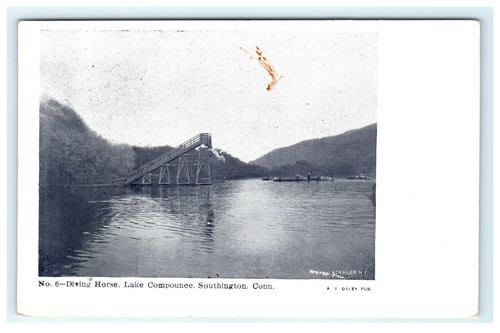 Diving horse lake compounce - diving,