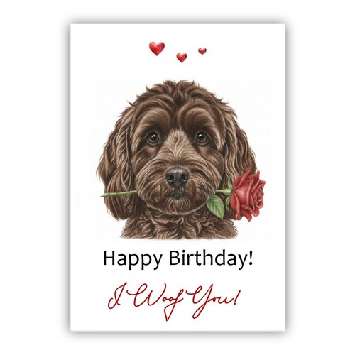 Cockapoo chocolate dog