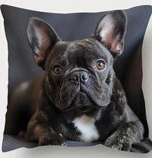 🇬🇧BEAUTIFUL VELVETY FEELING CUSHION COVER WITH GORGEOUS FRENCH BULLDOG