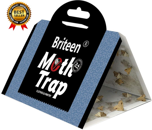 Pack pantry moth traps safe - pantry,