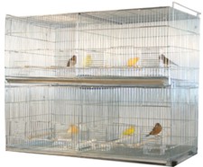X-LARGE Galvanized 2 of Bird