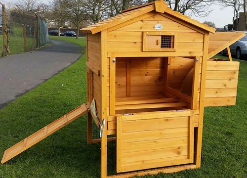 Large chicken hen house - hen,