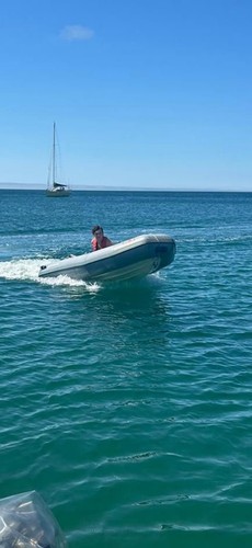 Avon rover rib - avon, 3.1m