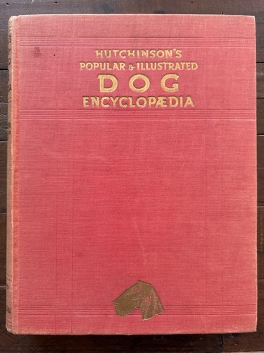 Hutchinson popular - hutchinson's,