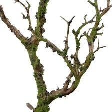 Wildwood Artificial Tree