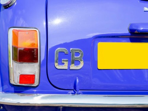 Classic mini boot - mini, self