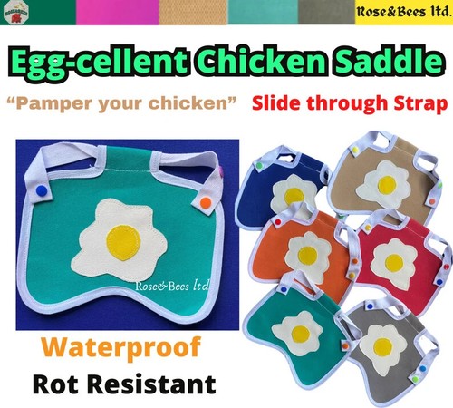 Chicken saddle hen back - chicken,