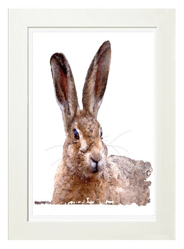Hare beauty a limited - hare,