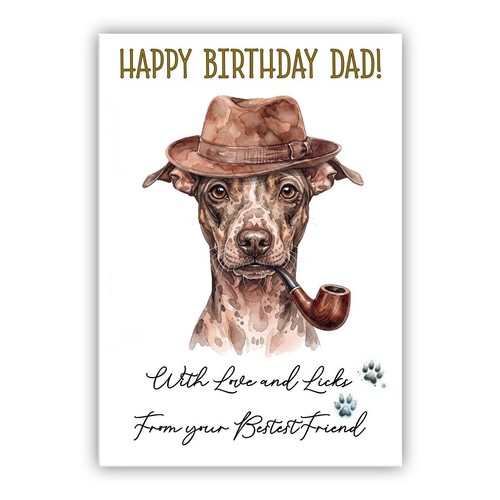 American hairless terrier - american,