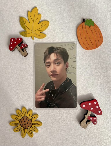 Stray kids bang chan dicon - stray,