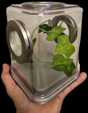 Jumping Spider Enclosure, Juvenile / Adult. FREE P&P 10.5 x 10.5 x 14.5 Cm