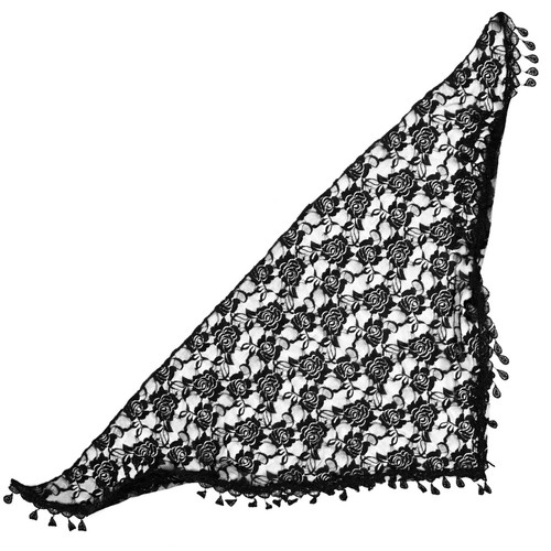 Lace veil decorative - lace,