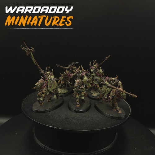 Pro painted warhammer aos - painted,