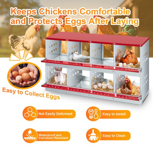 Hole metal chicken nesting - chicken,