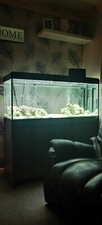 4ft fish tank and stand light /hood /coral sand and much more great condition 