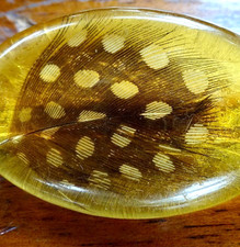 vintage 1950s guinea fowl bird feather pale amber resin brooch v pin -531