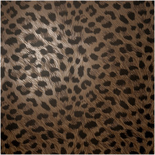 Animal Print Wallpaper Brown