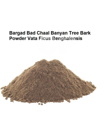 Indian bargad bad jad - jad, banyan