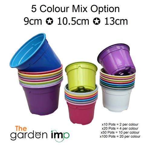 Coloured plastic plant pots - coloured,