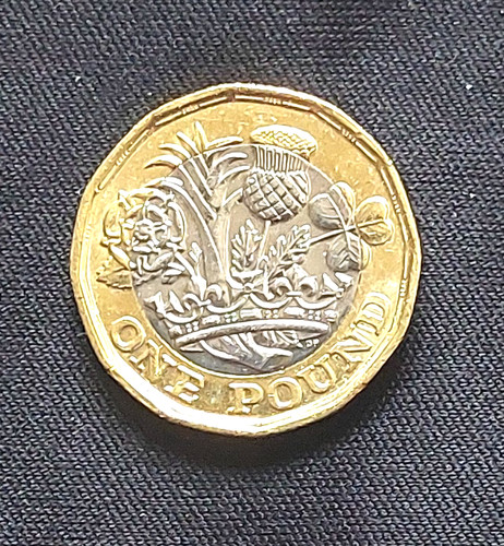 2020 floral one pound coin - 2020, £1