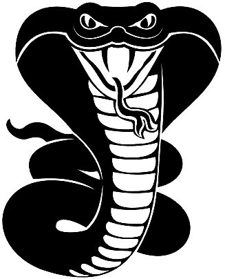 Large car van bonnet snake - bonnet,