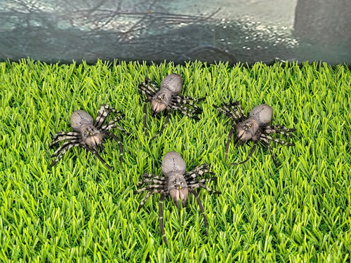 Primeval giant arachnids - primeval,