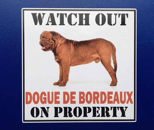 Watch out dogue bordeaux - watch,