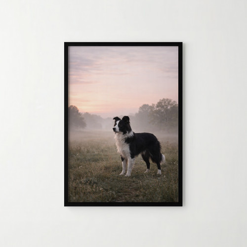Borderless dog print border - a4,