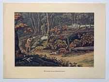 Rare vintage woodcock shooting - vintage,