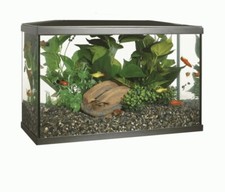 Swell Marina Lux LED Aquarium