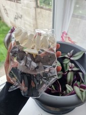 3 Pcs Frosted Wave Shaped Hair Claw Clip Solid Color Non-Slip Strong Hold