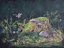 Woodland dragonfly Nature