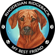 Limited RHODESIAN RIDGEBACK