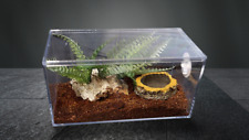 TARANTULA/SCORPION, REPTILE ENCLOSURE ,NEW STYLE JUST AVAILABLE 