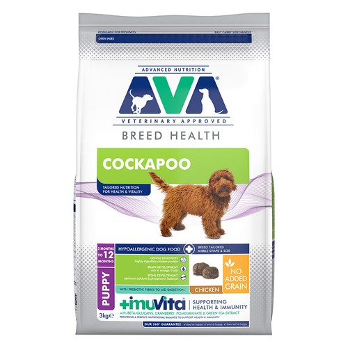 Ava breed health - ava,