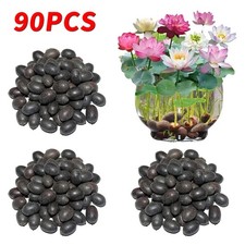 90 Seeds Lotus Mix Flower Seed