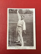 EARLY 1900s CRICKET POSTCARD -
