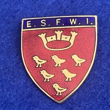 Vintage EAST SUSSEX Women’s Institute (WI) Enamelled Metal Member’s Pin Badge