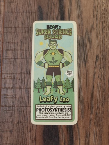 Yoyo bear super science - bear’s,