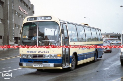 Bus photo midland bluebird b - photo,