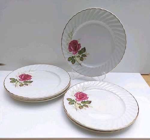 Ridgway ironstone - x,