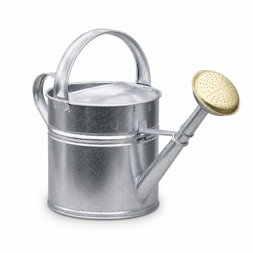 Outdoor watering can brass - outdoor,
