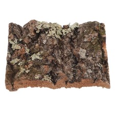 Bark for Reptiles Lizard Tank