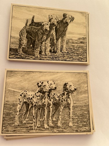 1938 ardath dog studies - ardath,