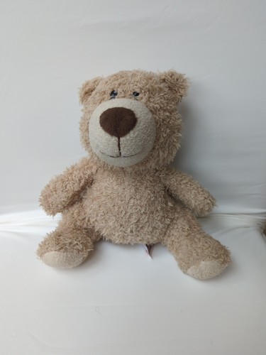 Card factory teddy bear - 8",