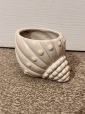 Sea Shell Plant Pot - Ideal